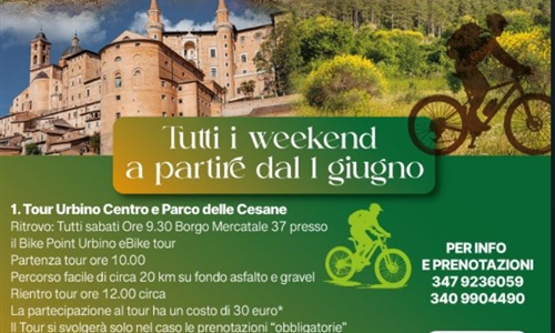 New Tours SUMMER 2025